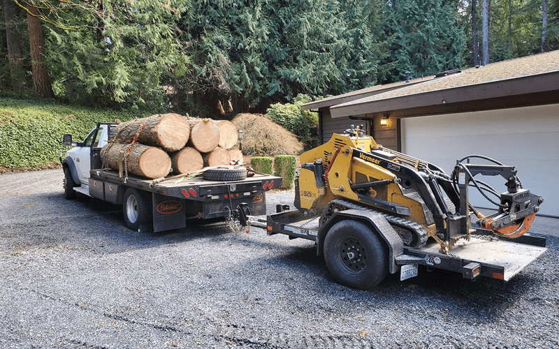 log-removal-services-woodinville-wa-fineline-tree-service